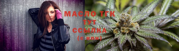 сатива Баксан