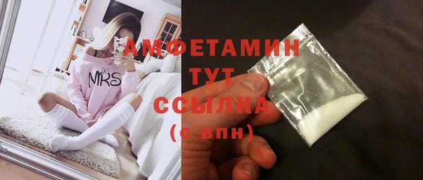 сатива Баксан