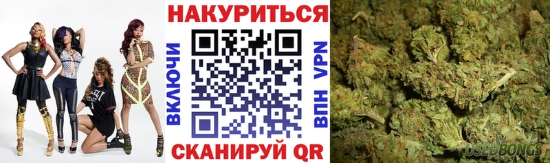 гидра маркетплейс  Сокол  Каннабис сатива  где купить  